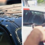 Fåglar skiter inte på bilar längre: här är vad du behöver göra Fåglar skiter inte på bilar längre: här är vad du