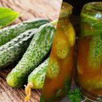 Hur man stänger gurkor i chiliketchup för vintern: 3 ojämförliga recept Hur man stänger gurkor i chiliketchup för vintern: 3 ojämförliga
